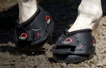 Cavallo Hoof Boots – Horse Hoof Care