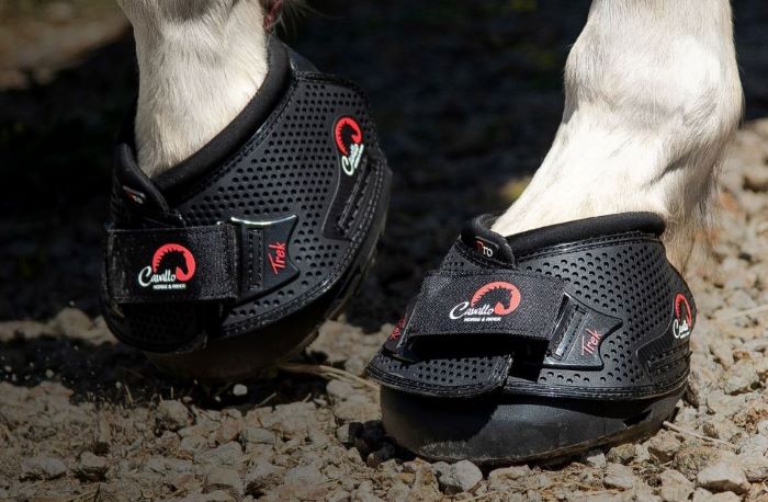 Cavallo Hoof Boots – Horse Hoof Care